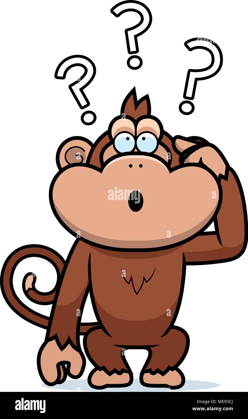 A Cartoon Illustration Of A Stupid Monkey Stock Vector Image Art Alamy A Cartoon Illustration Of A Stupid Monkey Stock Vector Image Art Alamy