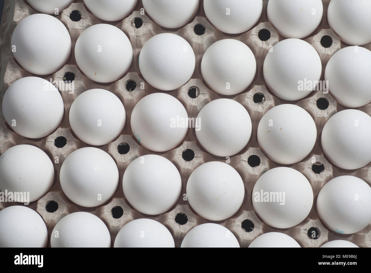 Cardboard egg box with chicken white eggs close up Stock Photo - Alamy