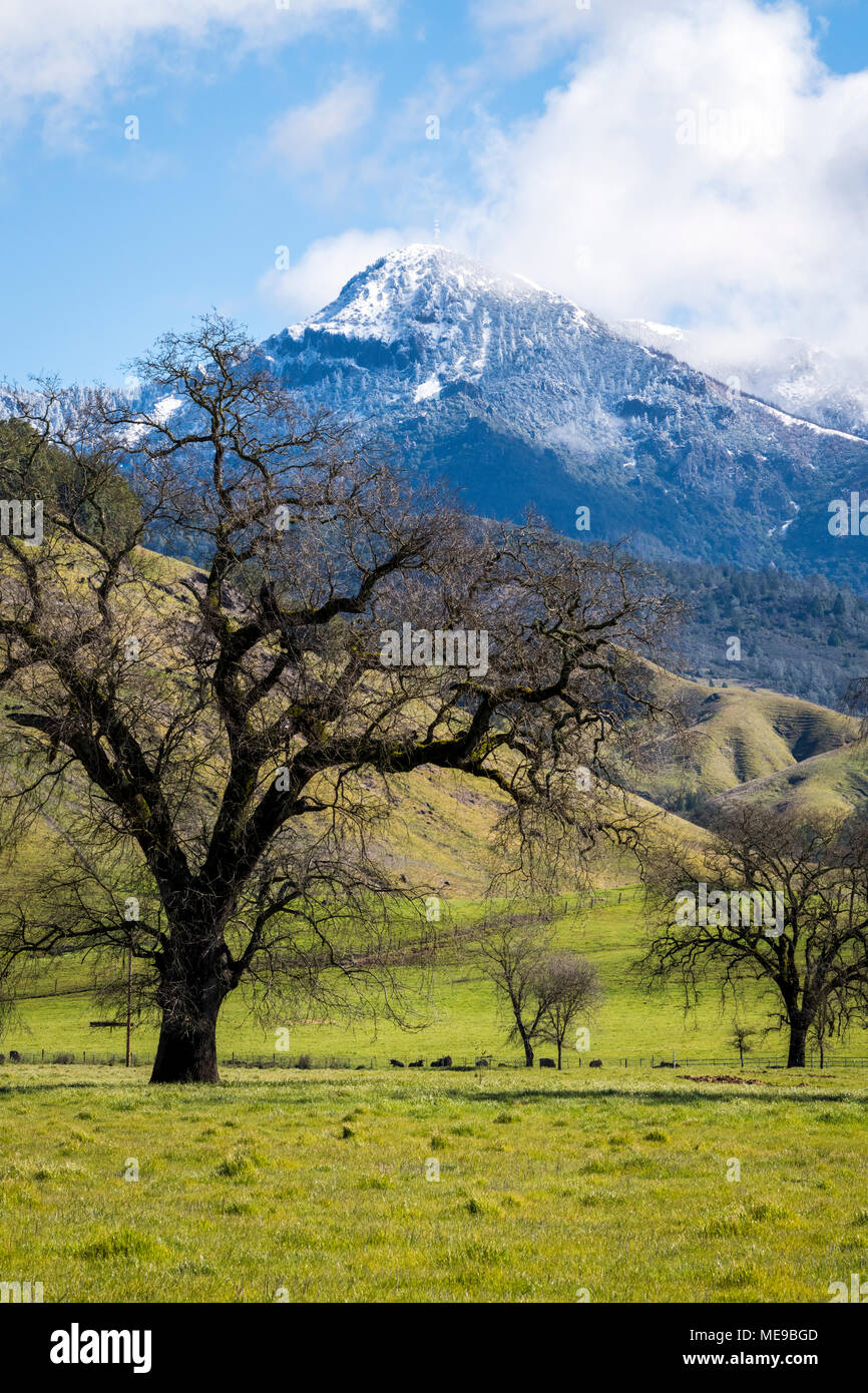 Mount St. Helena is covered in snow from a rare winter storm in Alexander Valley wine country near Healdsburg, California. Stock Photo