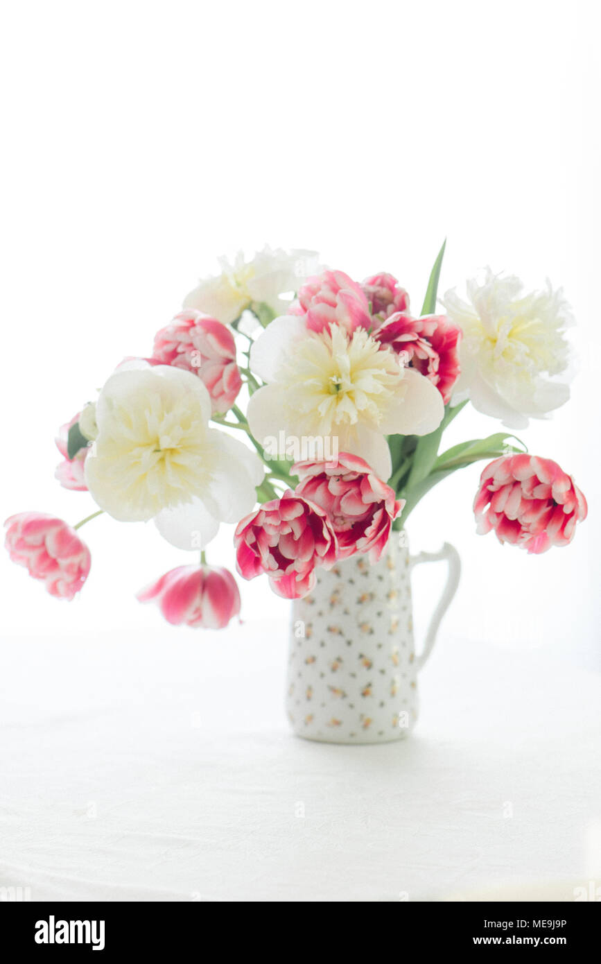 Tulips and Peonies in a pitcher Stock Photo