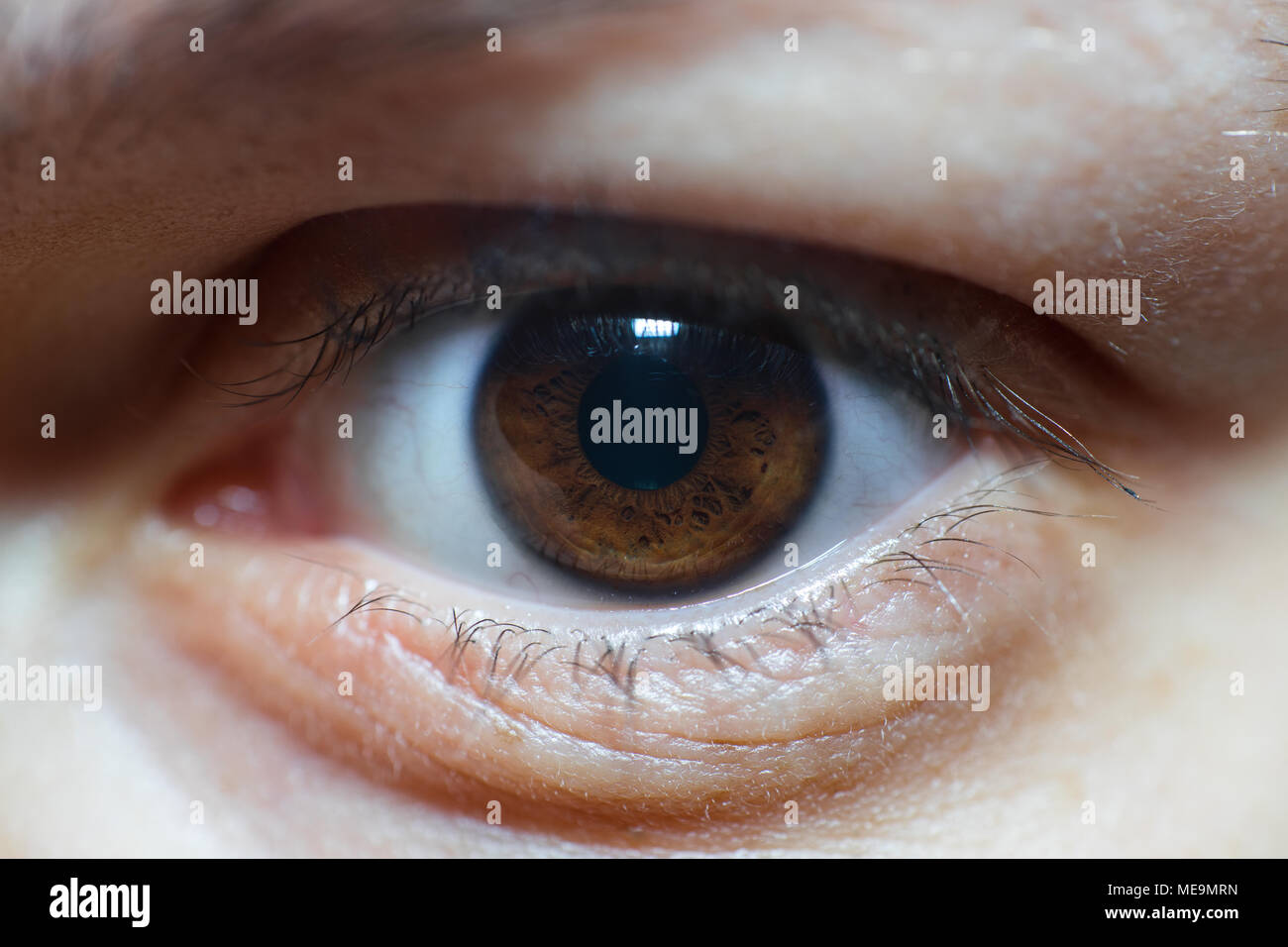 Close-Up Of Brown Female Eye With Long Eyelashes Staring At Camera ...