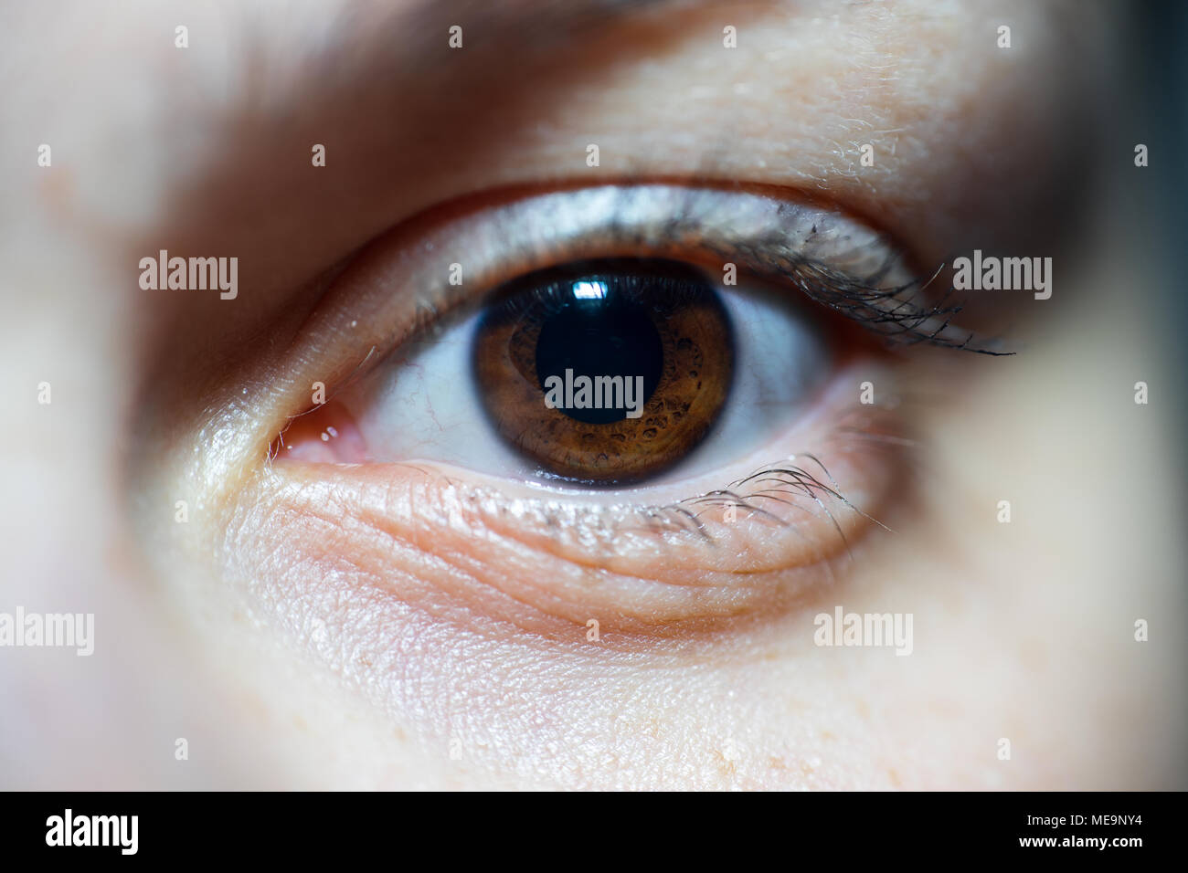 Close-Up Of Insightful Brown Woman Eye With Long Eyelashes And Makeup Looking At Camera With Desire Stock Photo