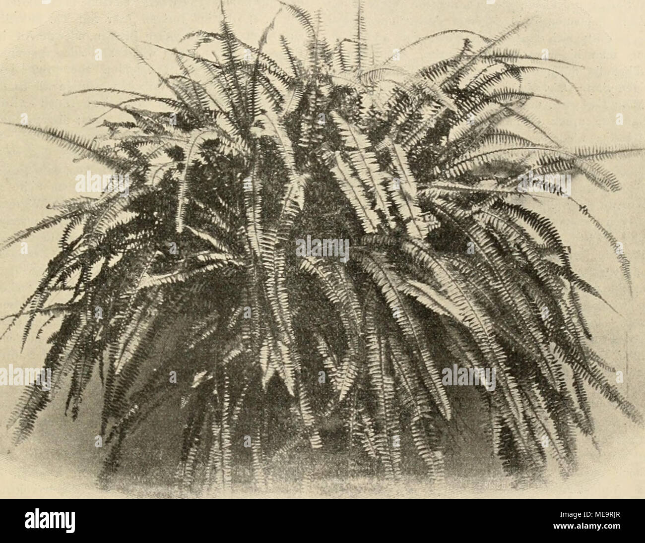 Download Angoixa vor trennung For Android Angoixa Vor Trennung