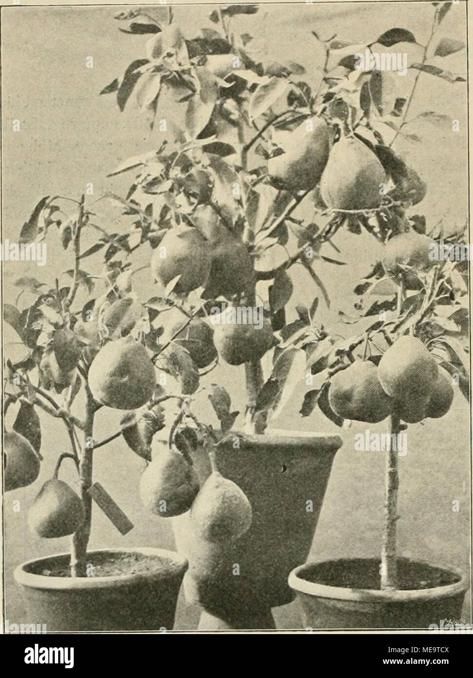 Bilder sofort aufgenommen