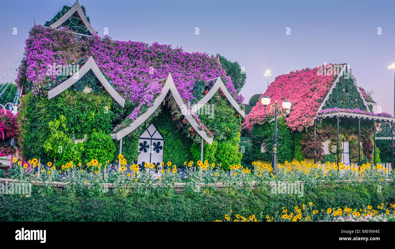 Beautiful houses covered with flowers Stock Photo Alamy