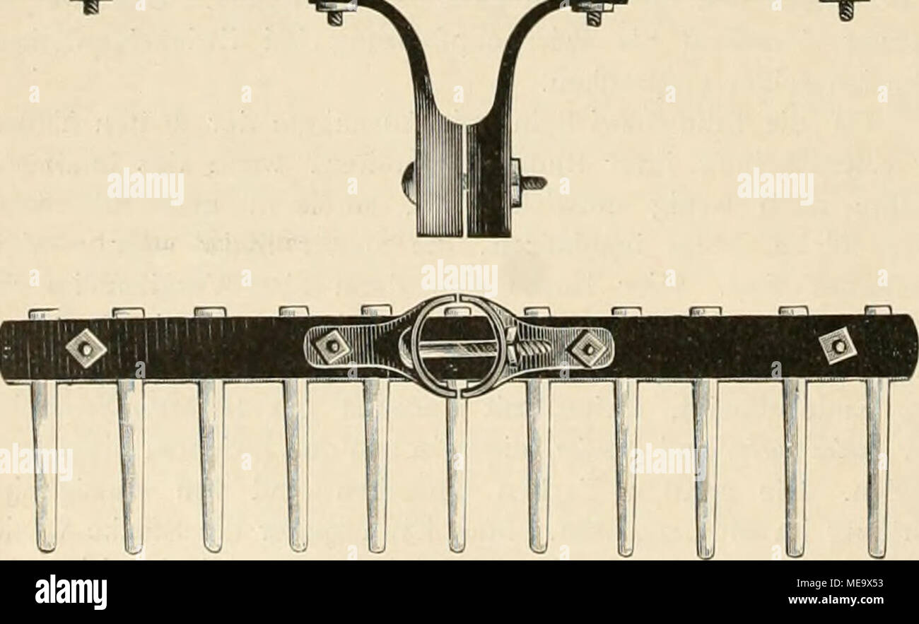 Guter zeuge hires stock photography and images Alamy