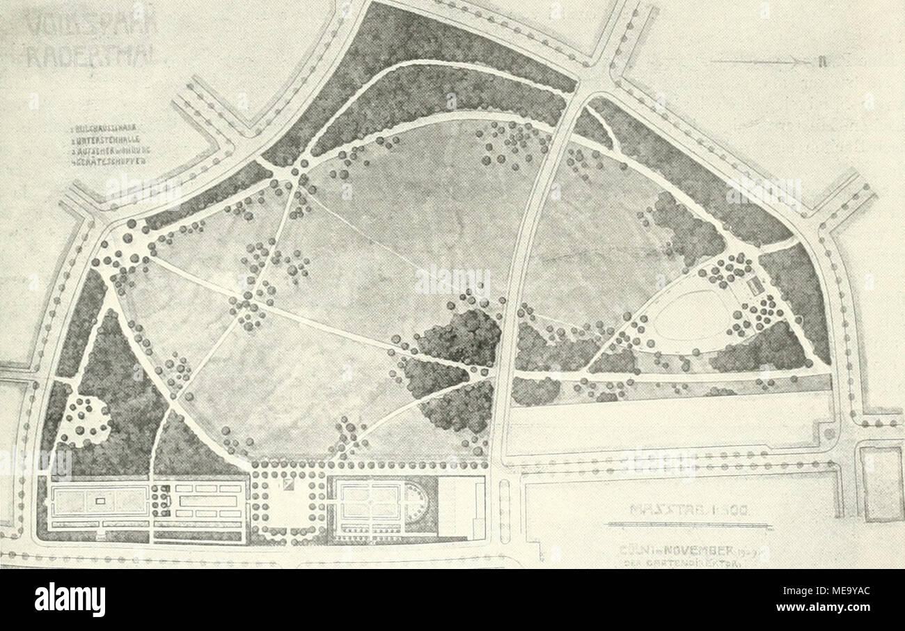 Poa Trivialis Stock Photos & Poa Trivialis Stock Images - Alamy