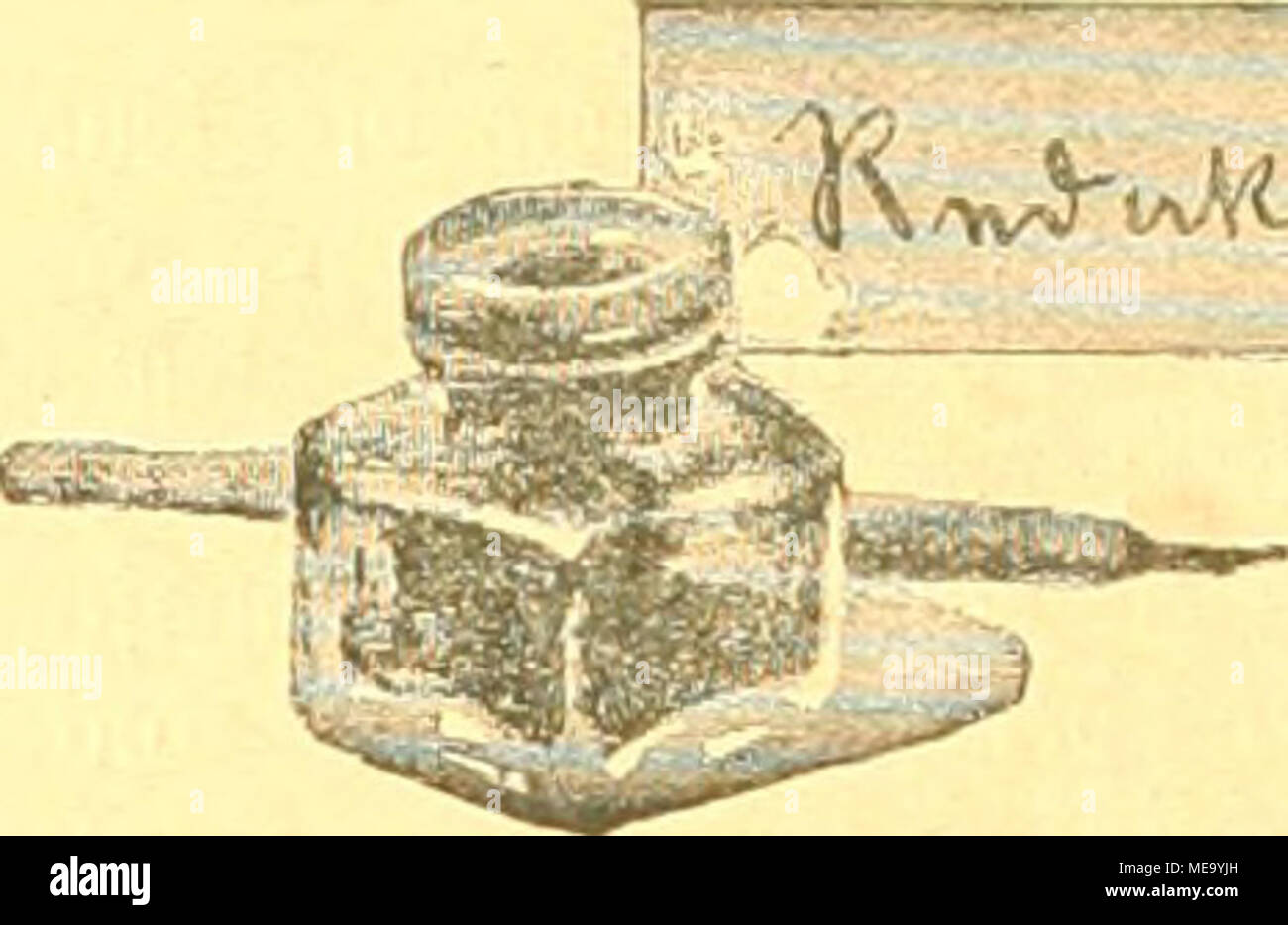 . Die Gefiederte Welt . .'Ã¶Â»vrn ^l 9.. Wnnfifhnra.. p-lii I-euiiihrtesi T^Iiitter^ gcmifd) tm (SrnÃ¤hrung , , V = ..  â , â ..- be? Welbfiuitter? tft folgenbeÂ«: 2 ieite "meifenuuppen, 1 Teil jerftoftener $Reifi= luurm, 1 leil geriebene? (Fierhrot roerben mit tootet fein genebener aii'ohre oermengt, baf, ba? (Â«nnje ein mSftia feud)te?, leid)teÂ§, ficcfige? Wemifd) tft. '5MefeÂ§ (Â»emifd) mufe gut burd)einauber gearbeitet loerben, fo bafi'e? aleichmÃ¤fiig erfchejnt, (gom Jfopember ab roirb ftatt bcÂ§ TOeifirourm? jur 9lbiued)fliing 1 ober 2 mal luÃ¶cfientÃ¼ch eine Weffer-- fptljc mager Stock Photo