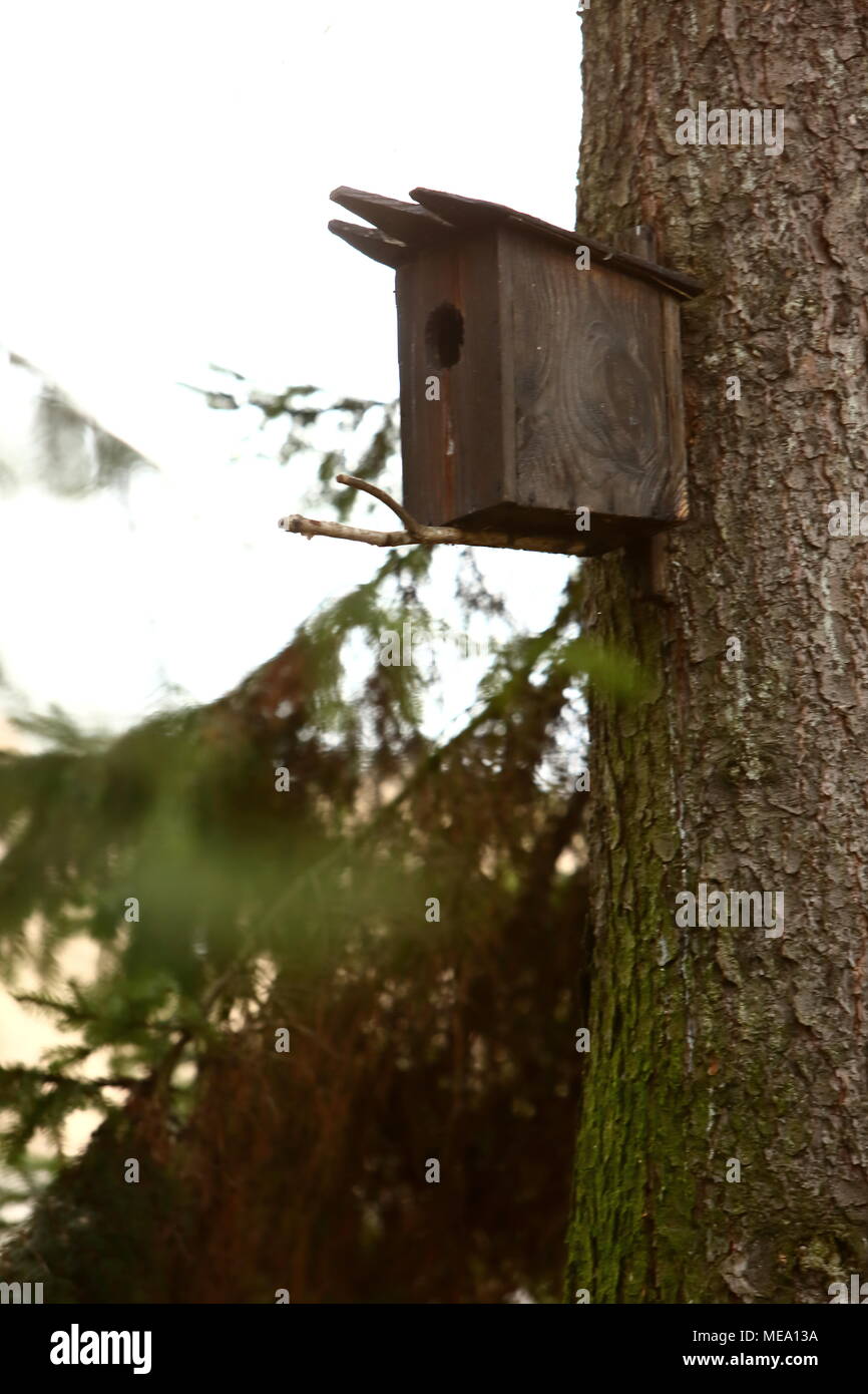 A breeding box made by people and hanged on a tree to help birds ...