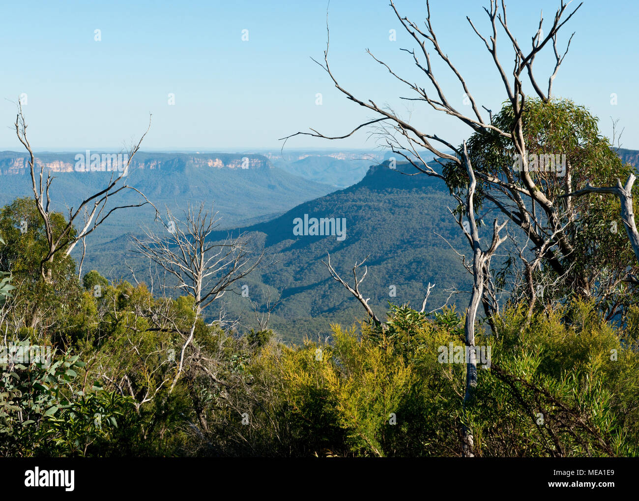 Views across Megalong Valley in the Blue Mountains. Katoomba, New South Wales Stock Photo
