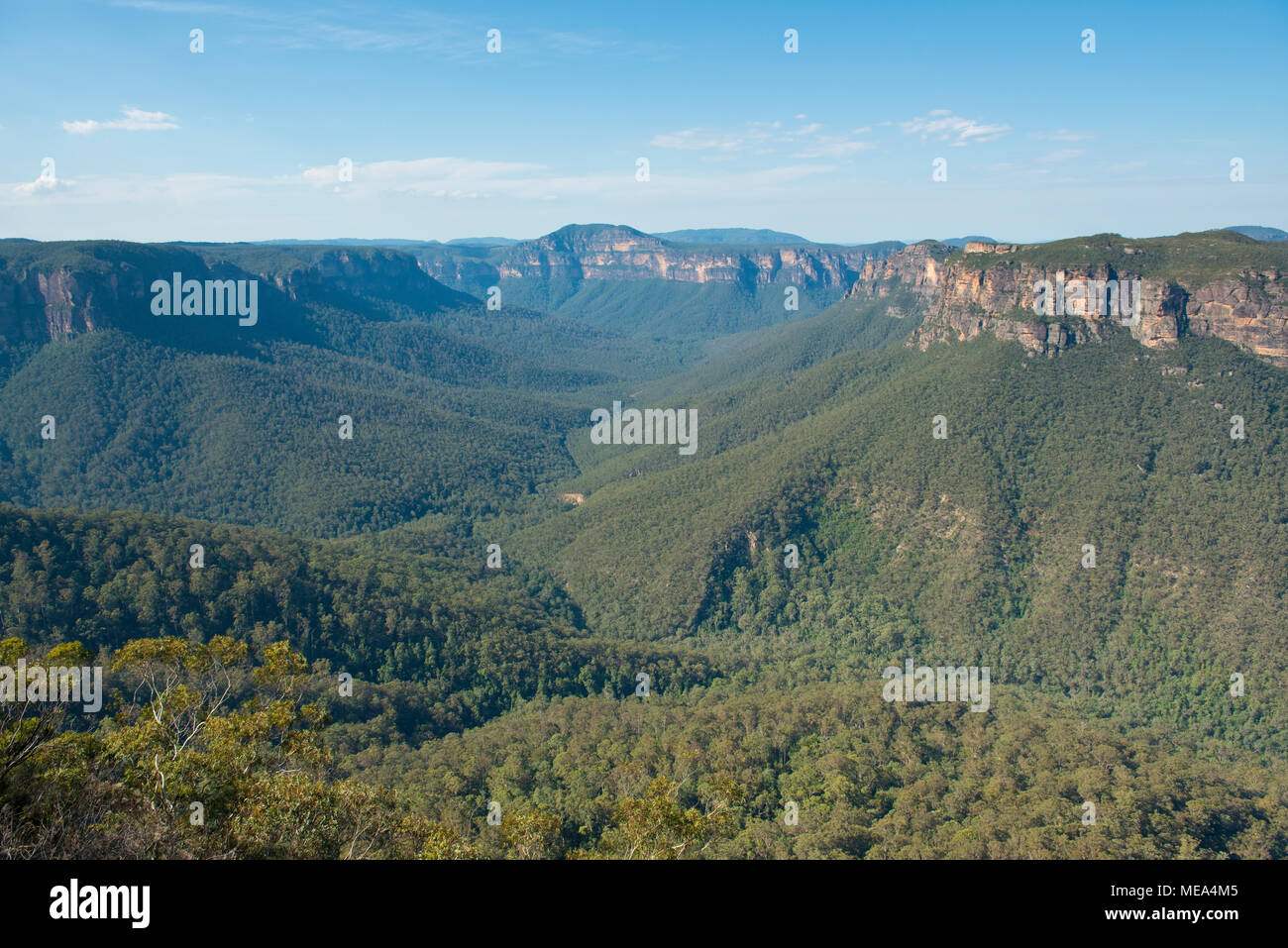 View from Evans Lookout. Blue Mountains, New South Wales. Stock Photo
