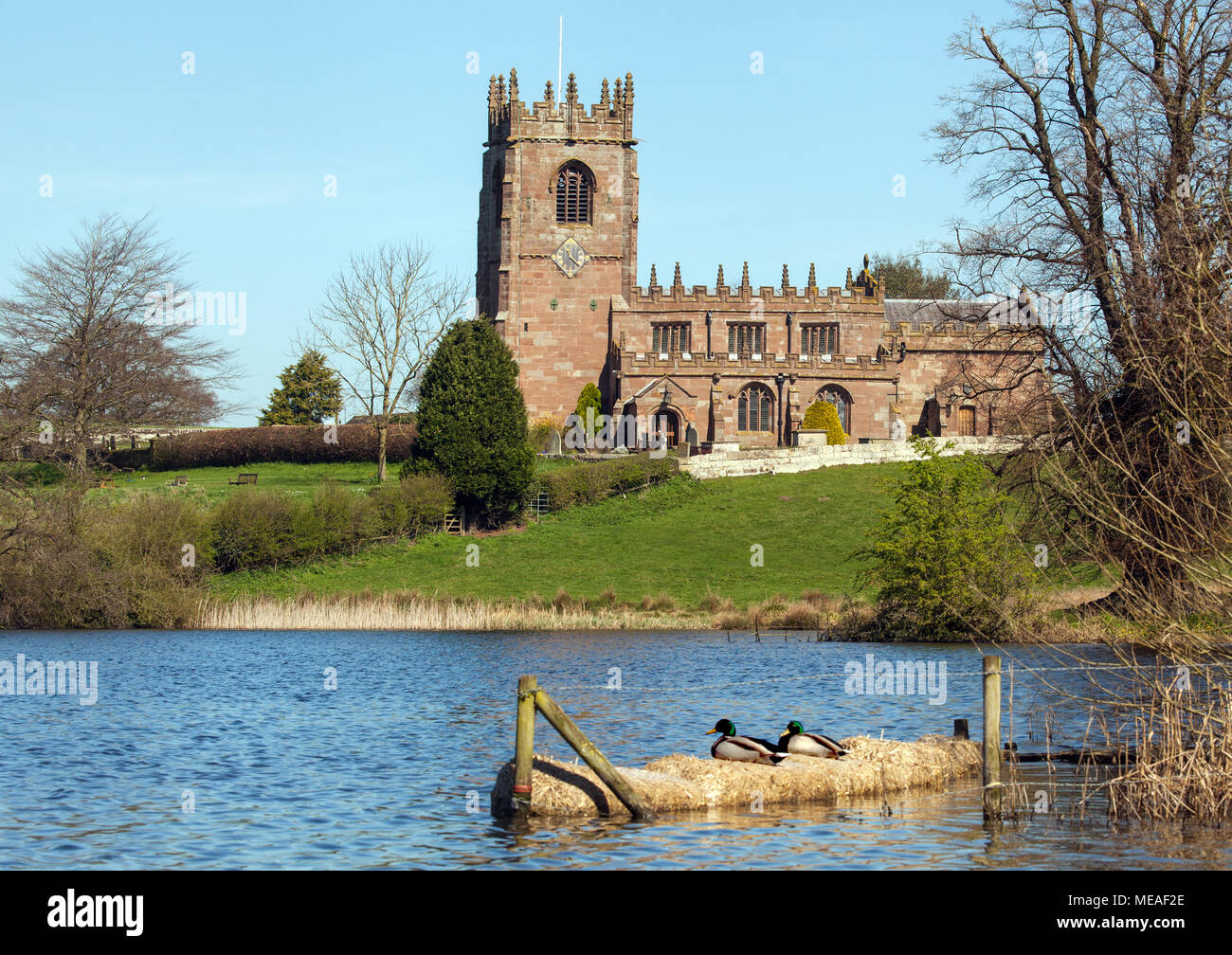 The Parish church of St Michael's on a hill  above Big Mere in the Cheshire village of Marbury set in rolling countryside and farmland with ducks Stock Photo