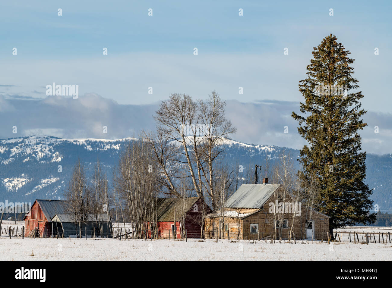 Snow covered field and mountains surround an old homestead in Idaho