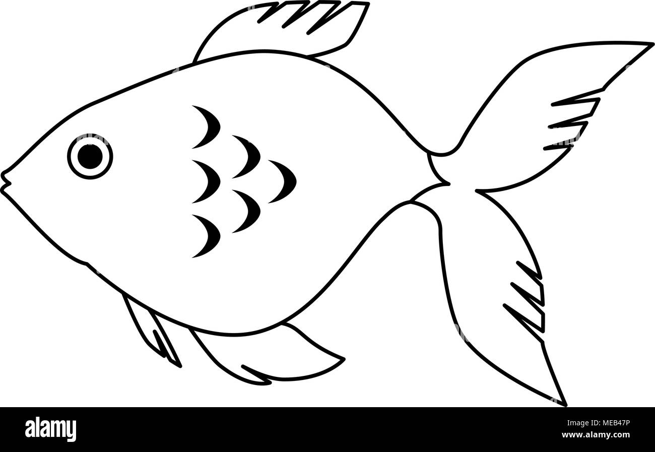 cute ornamental fish icon Stock Vector