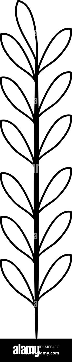 Underwater Plant Black And White Stock Photos Images Alamy