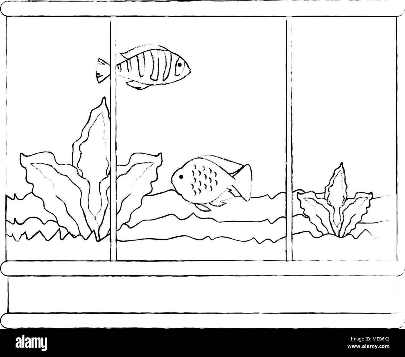Square Fish Color square aquarium with colors fish Stock Vector Image & Art - Alamy