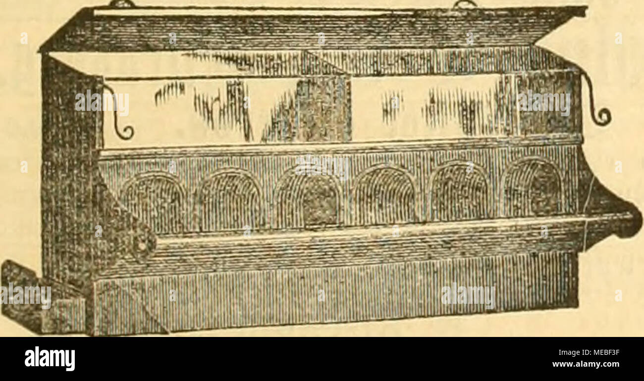 . Die Gefiederte Welt . Stock Photo