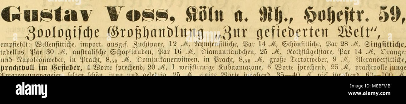 . Die Gefiederte Welt . .. ., ,^.-.-, - - ,,, ,j j fprct^cnb, 'ün Ji, ;iract)tuo(le juitge ,.i.n.j^i.w.t...^.&gt;.&gt;,wi,., jcltfii d)'6n, jung unb gclcl)vtg, 25 ./i, einige Jöoitc jpvedjnib, 35—40 .//, uiet fpvcdjcnb, Bd—100 j^, 1 Jako, grossartiger Spreclier, 300 Mk., ©pvacfiuevu'itl;niß mif Swufd), jnnge JiafoS, an .v&gt;aiit unb Söaffer geiuii^ut, gvofie iH'Hgvaue iiögcl, 38 ./i, Äubofinfcn mit C^^olöfingeii, lö J&amp;. 3Ule i'lrti'ii'^!vad)tfmfou in tabellojcn Pvcinplaren Don 3,50 Ji an. 3tUe 5lrten Sondtuttcr in nur bcftev Uöave biUigft. [1129] *^vci5li)'teu über l'ogeUiifige, JU'ftev, Stock Photo