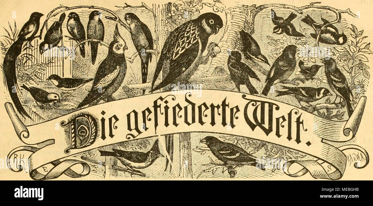 Oou High Resolution Stock Photography And Images Alamy