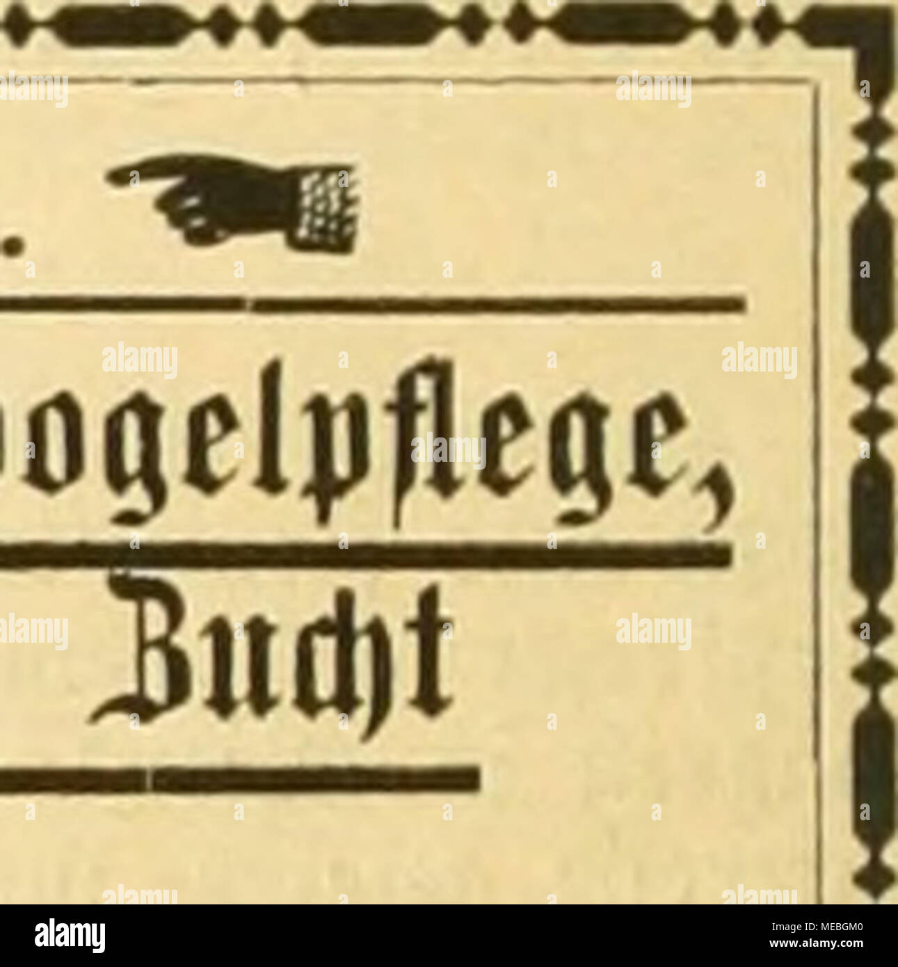 Die Gefiederte Welt Jlbridilung Unb 3a D T I A Ti 1648 Dr L Mt Wa Einer Cbromolitbogr Safel Unb 3ablrcic Cn A La Fcbnitten A Ooftntimg In 7a8 A Iicffrunfli A A 3 Ji Sserlag r Ilrcut Fcben S3u4