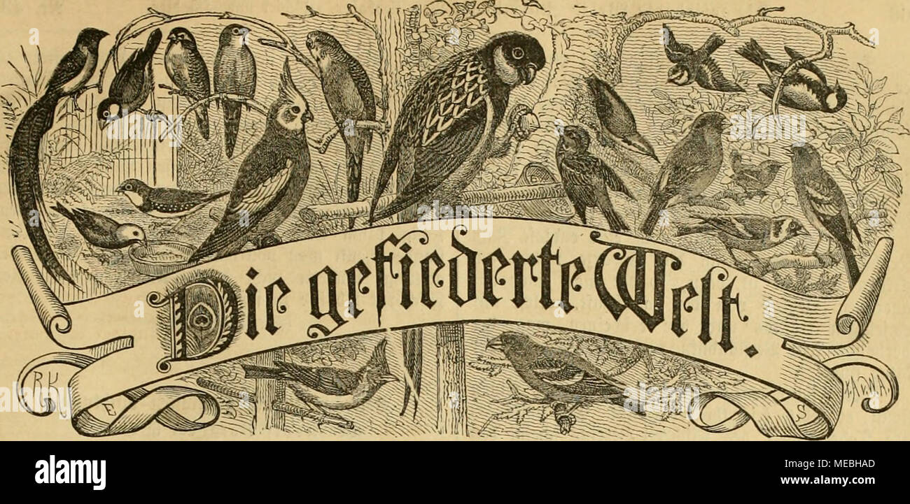 Ic 11 Hi Res Stock Photography And Images Page 3 Alamy Ic 11 Hi Res Stock Photography And Images Page 3 Alamy