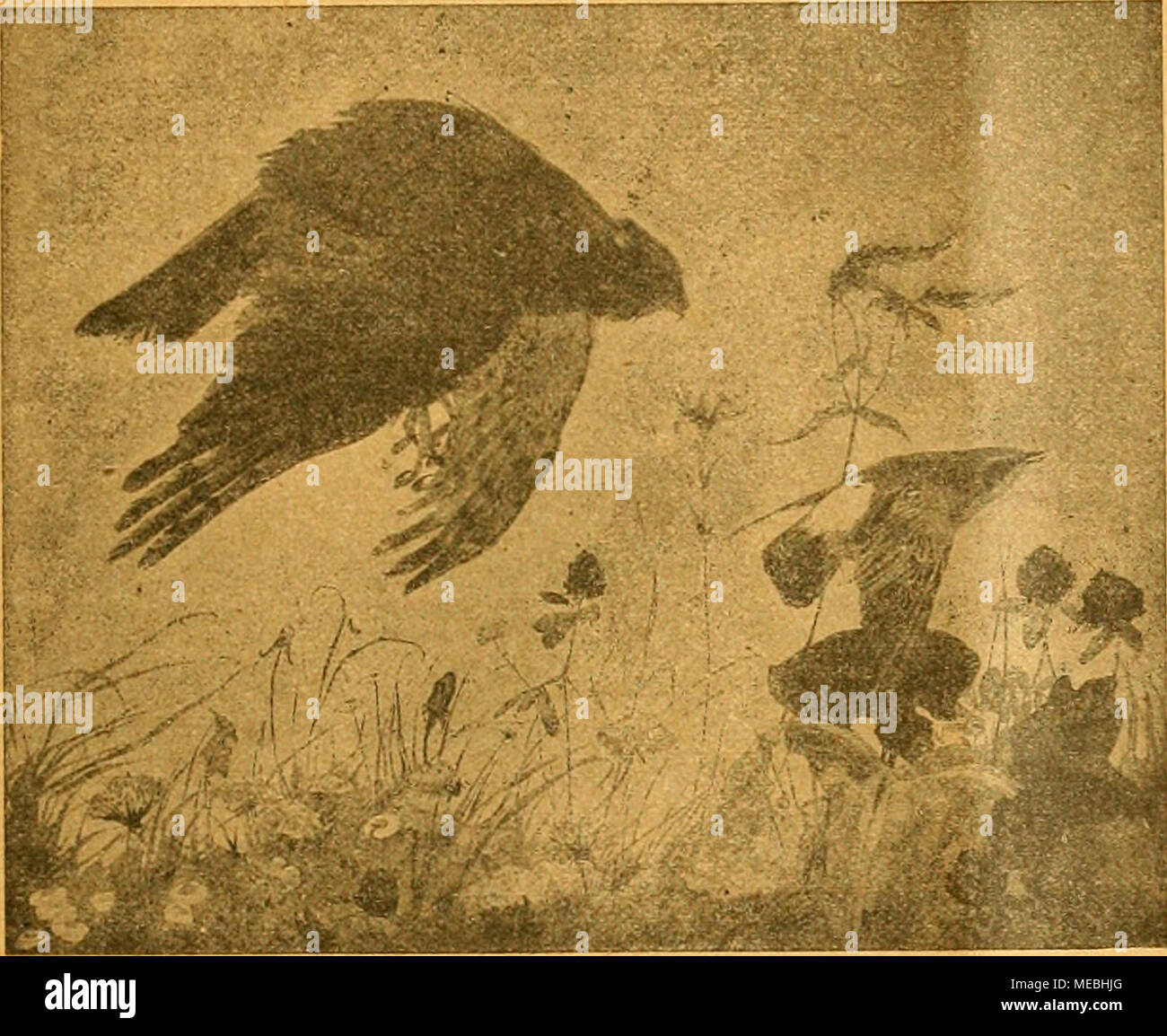50g Stock Photos 50g Stock Images Alamy