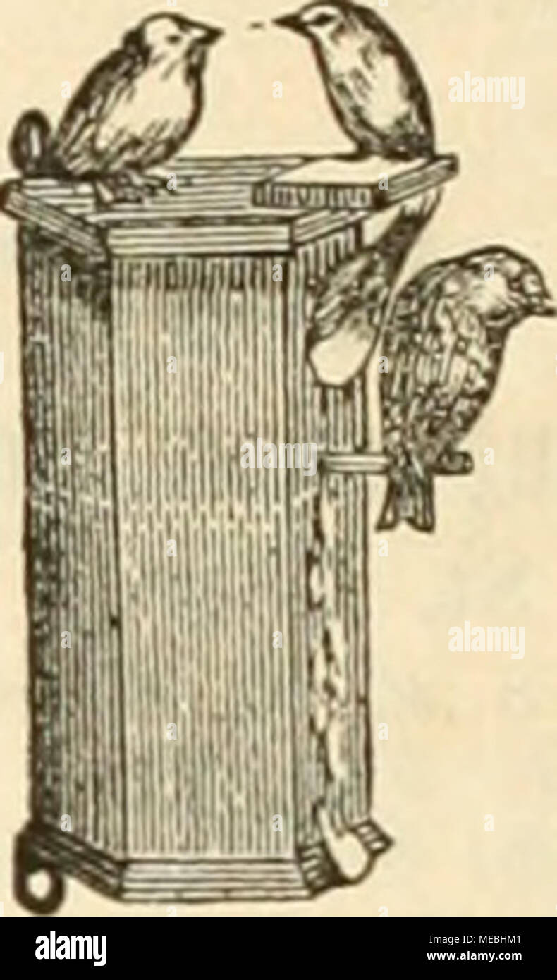 Titit hi-res stock photography and images - Alamy