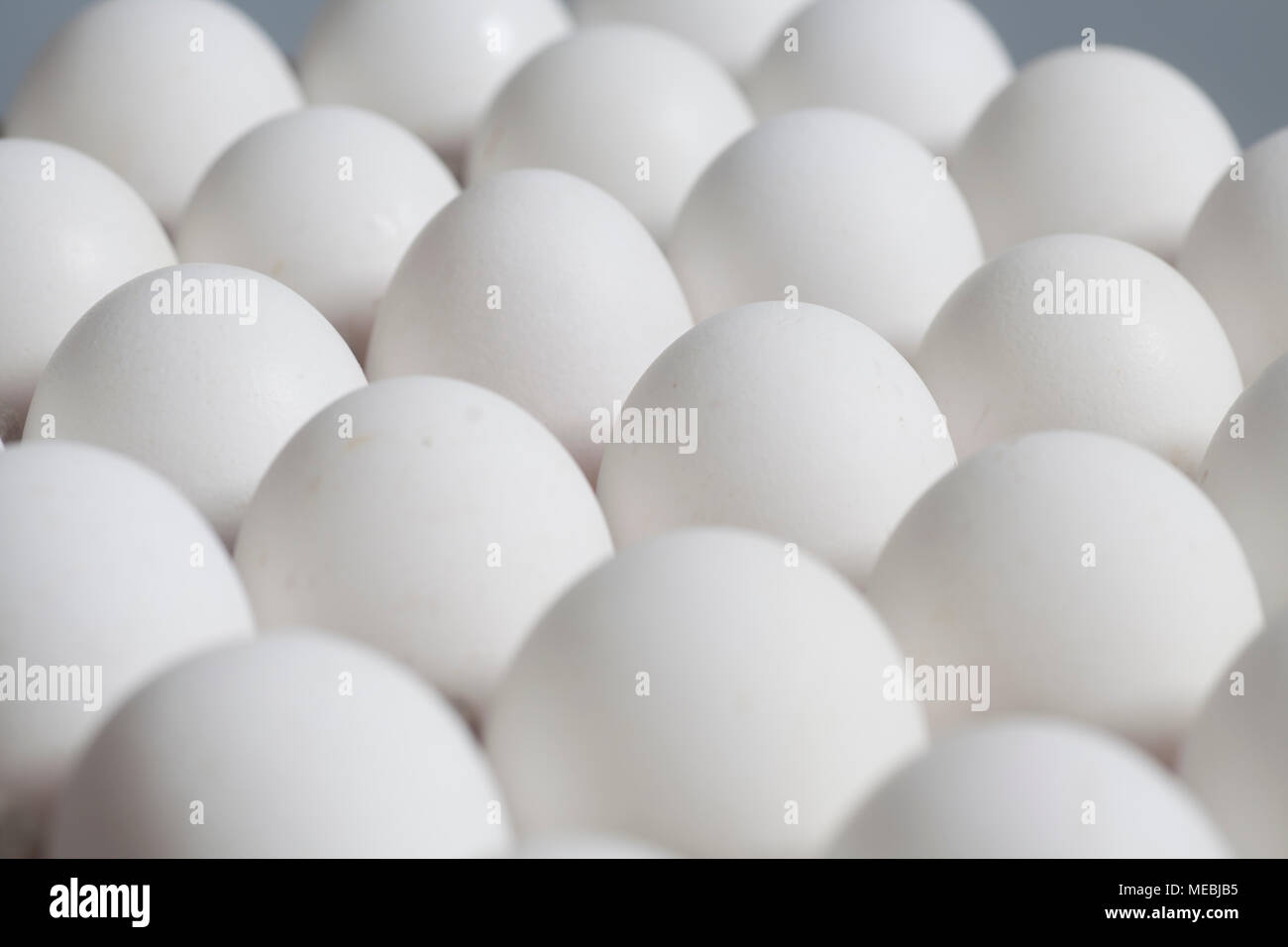 Cardboard egg box with chicken white eggs Stock Photo - Alamy