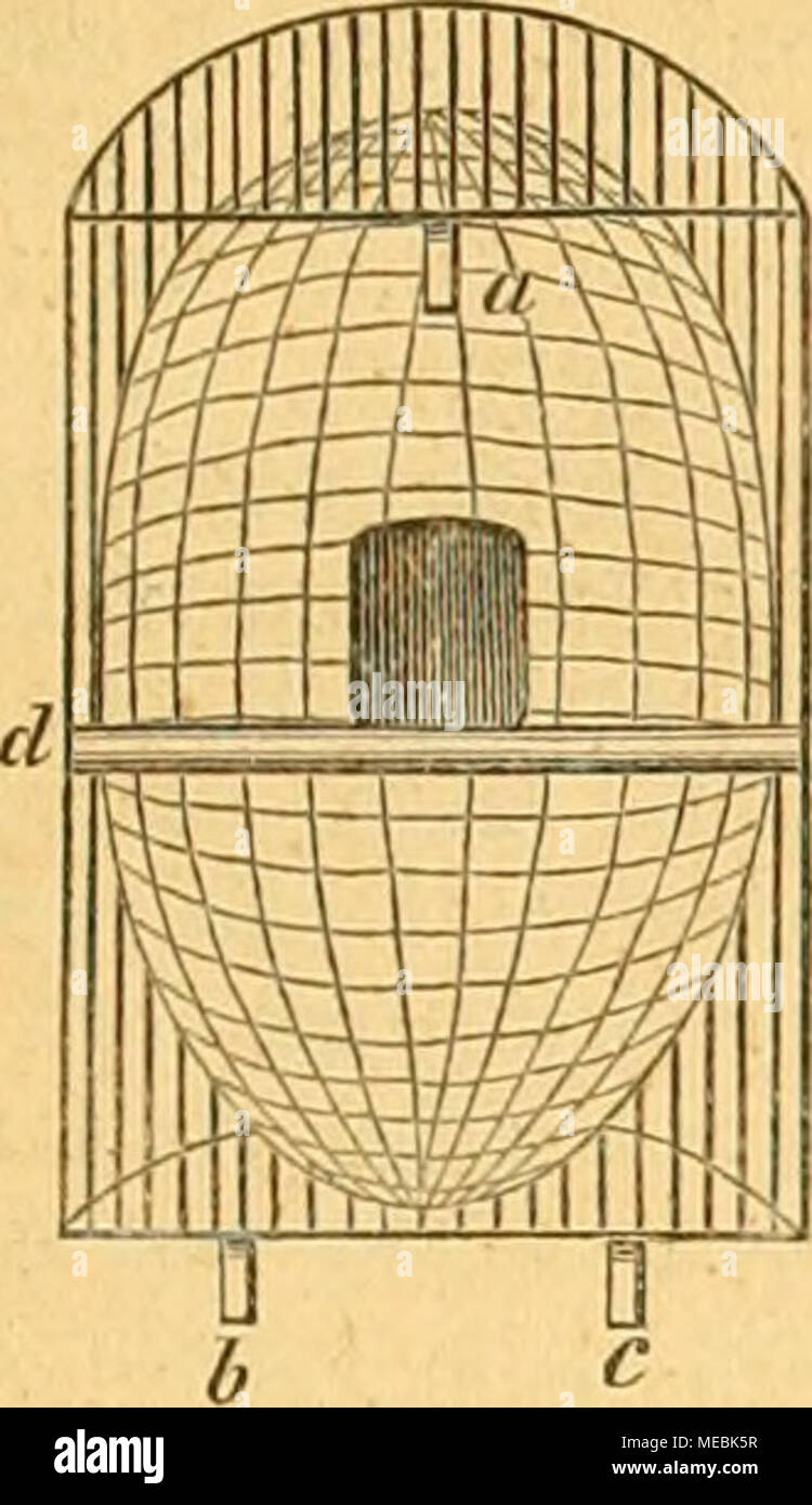 . Die Gefiederte Welt . forbcrungen entiprod)en ju l^aben, unb jur ßrflä= rung roill ic^ nur Ginigeä beifügen. Ser gauje Ääfig ift au§ ^JJetatt gefertigt, ber ©anbfc^uber läuft linfö uub red;ts über eine SJinne, in roeldier roiebr eine 23oben nur eingefd^oben ift, fo ba&amp; er ju Ijängen, burd) roelc^eä il'erfaliren bie barin be- finblid)en ^sapageien geroif, am roeuigflcn betäftigt werben, ßbcnfo lei(^t Idjjt fic^ awi) für Heinere ffiögel bas 9tiftförb(^en baran bcfcftigen. 3ubiefem ®nbe laffe id) einen tjalbrunbeu ©rfer üon gJietaÜ mit Sral)tftaben berart aufpaffen, ba^ berfelbc nur mittelf Stock Photo