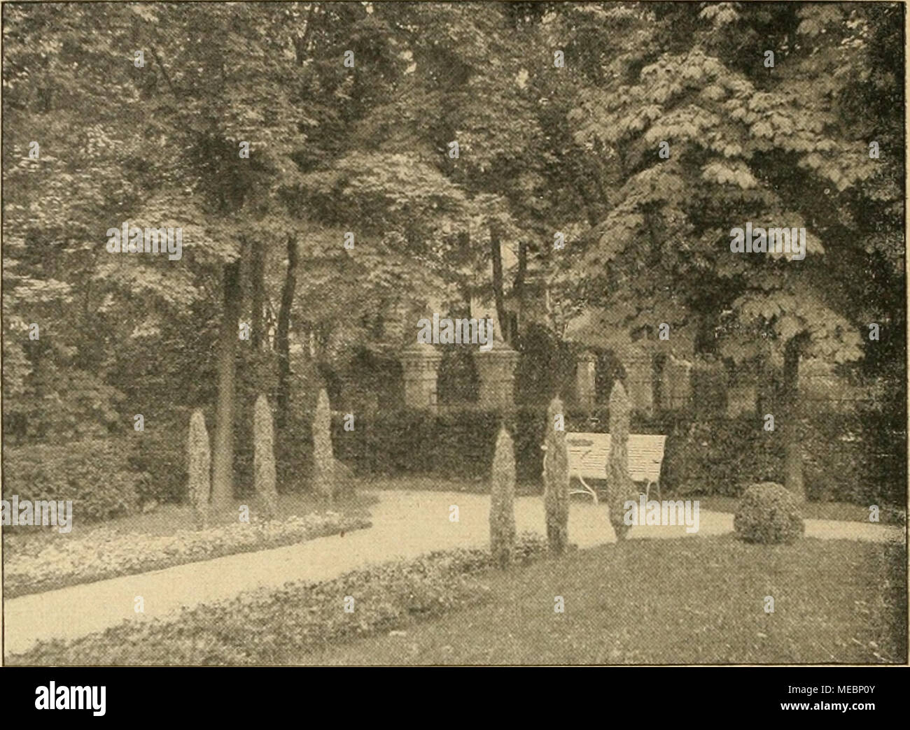 . Die Gartenwelt . Sitzplatz mit dekorativer Einkleidung von Säulenwacholder und Taxushecken im Garten der Villa Hahn, Berlin-Lichterfelde. abgelegten Examen, sondern nach ihrer Tüchtigkeit und nach der Bedeutung ihrer Verwaltung klassifizierten, sie vor allem der Bevormundung durch das Stadtbauamt entrückten und den hochgeschulten Baumeistern gleichstellten, da zeigten sich die schönsten Erfolge im städtischen Gartenbauwesen, das ja im letzten Jahrzehnt vor dem Kriege zu außerordentlicher Leistungsfähigkeit und Höhe emporstieg, nicht zuletzt dank der vorzüglichen Ausbildung des jüngeren Garte Stock Photo