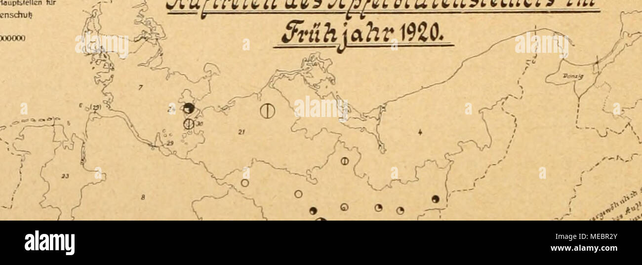 . Die Gartenwelt . 'jv-r ( (D -V^T -s V • • O 3 fD O«.&gt;.o.-. *l..r..r,PwMM-*y« ZgJchenerklarunggn  . , alr( Oii* /'•}'&quot; o Eckendorfer auf der andern Seite kein Unterschied im Ertrag gefunden. Die goldgelbe Oberndorfer und die rote zudcer- reiche Kugel- blieben dahinter zurück. Kopfsalat: Von Wintersalat waren angebaut: Silberball, Eisenkopf, gelber Winter-, Schlettstädter Winter-, Sansen und Frühlings- bote (Alms). Sie alle zeigten keine nennenswerten Unter- schiede in bezug auf Winterfestigkeit und Frühreife, Größe und Festigkeit der Köpfe. Die ersten Köpfe brachte Frühlingsbote. Der  Stock Photo