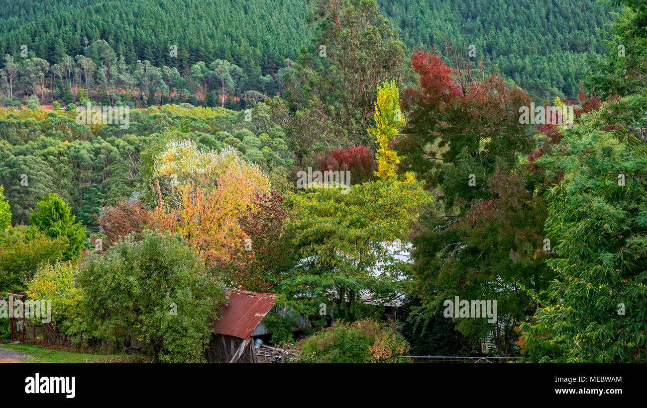 Autumn Colours in Wandiligong, Victoria, Australia Stock Photo Alamy