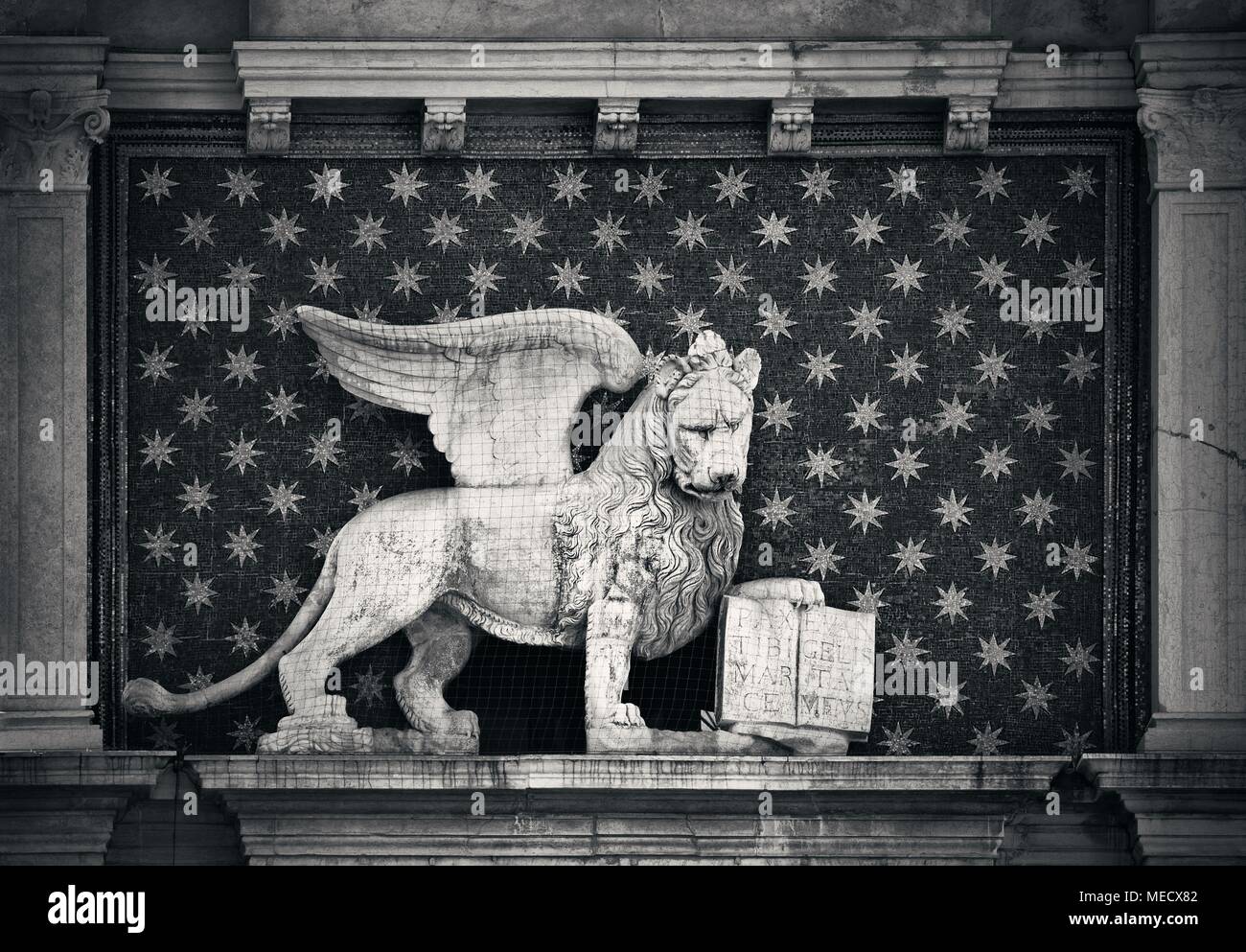 Lion of Venice statue in historical buildings at Piazza San Marco, Italy. Stock Photo