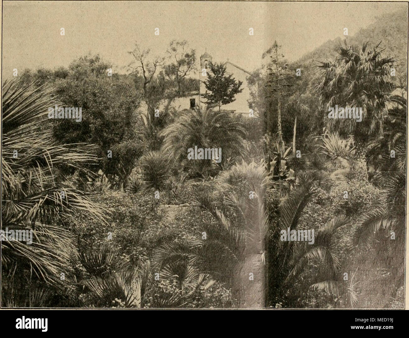 Synonym S Stock Photos Synonym S Stock Images Alamy