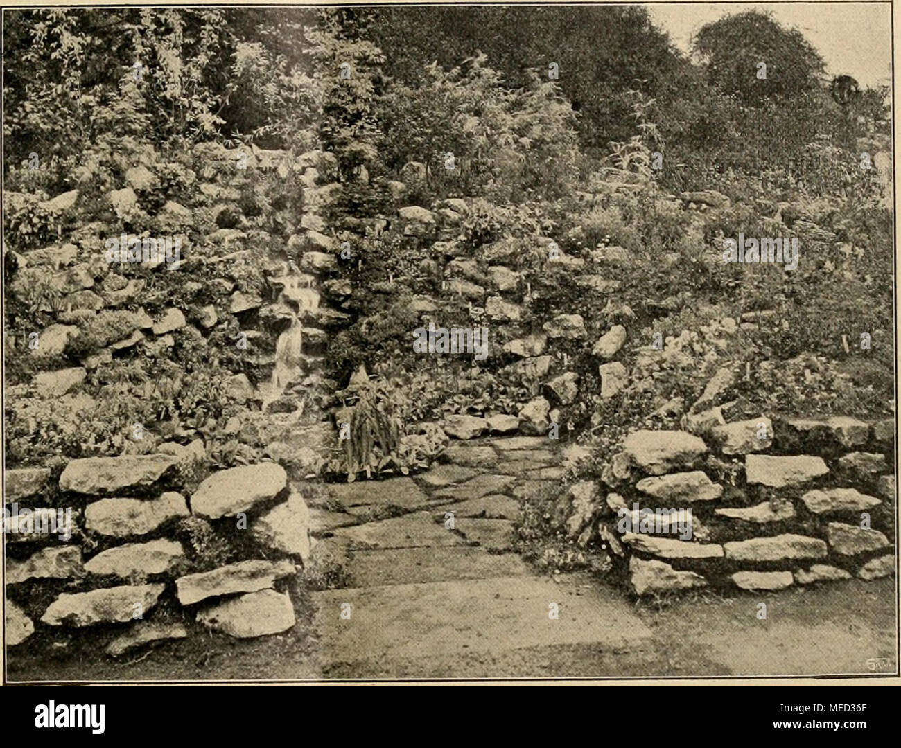 . Die Gartenwelt . Kleiner Felsengarten mit Wasserfall. bäumchen und Lilien, die, wie schon erwähnt, Anklänge an japanische Gartenkunst schufen. Gegenüber war eine eben- falls aus demselben gelblichen Kalksteinmaterial geschaffene Anlage von Backhous &amp; Son, York, die gleichfalls mit kleinem Teich eine glückliche Ergänzung zu dem ersten Garten bildete. ii den ersten Blick erschienen diese beiden Anlagen zu einem einheitlichen Ganzen verschmolzen. Auch hier zierte sehr gutes Pflanzenmaterial die Anlage. Viel waren dabei Azalea rosaeflora, die dort winterhart ist, Ranunculus Lyallii, Freila Stock Photo