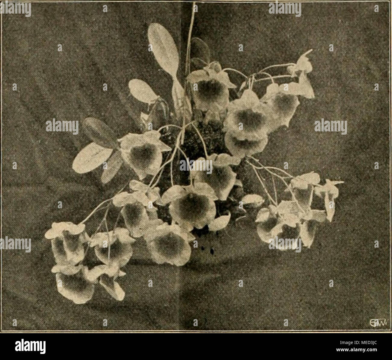 Rolle fischernetze -Fotos und -Bildmaterial in hoher Auflösung – Alamy