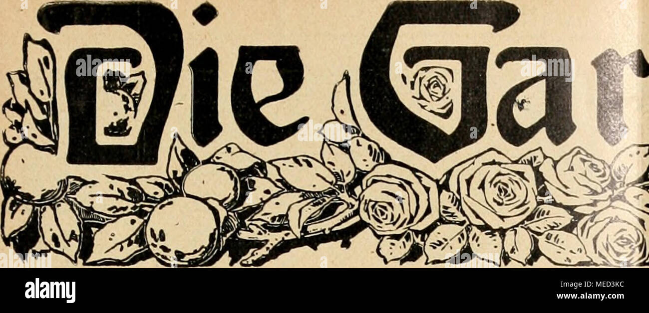 Page 3 Rtner High Resolution Stock Photography And Images Alamy