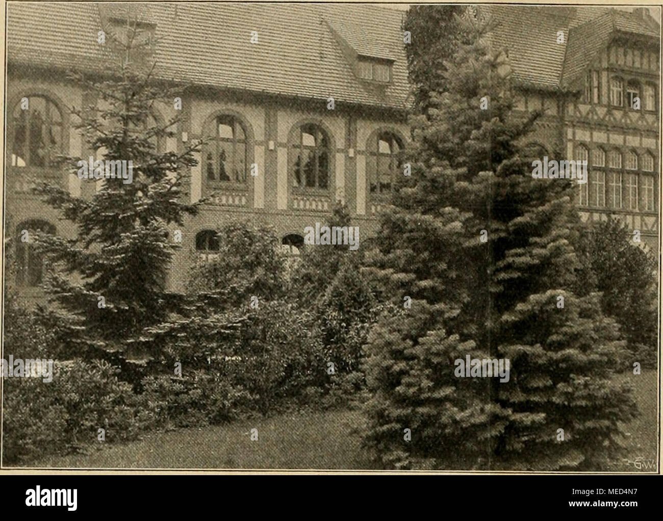 royalty home home office anlagen die gartenwelt badehaus in beelitz davor links abies nobilis rechts concolor nobilis stock photos images alamy royalty home home office anlagen die gartenwelt badehaus in beelitz davor links abies nobilis rechts concolor nobilis stock photos images alamy