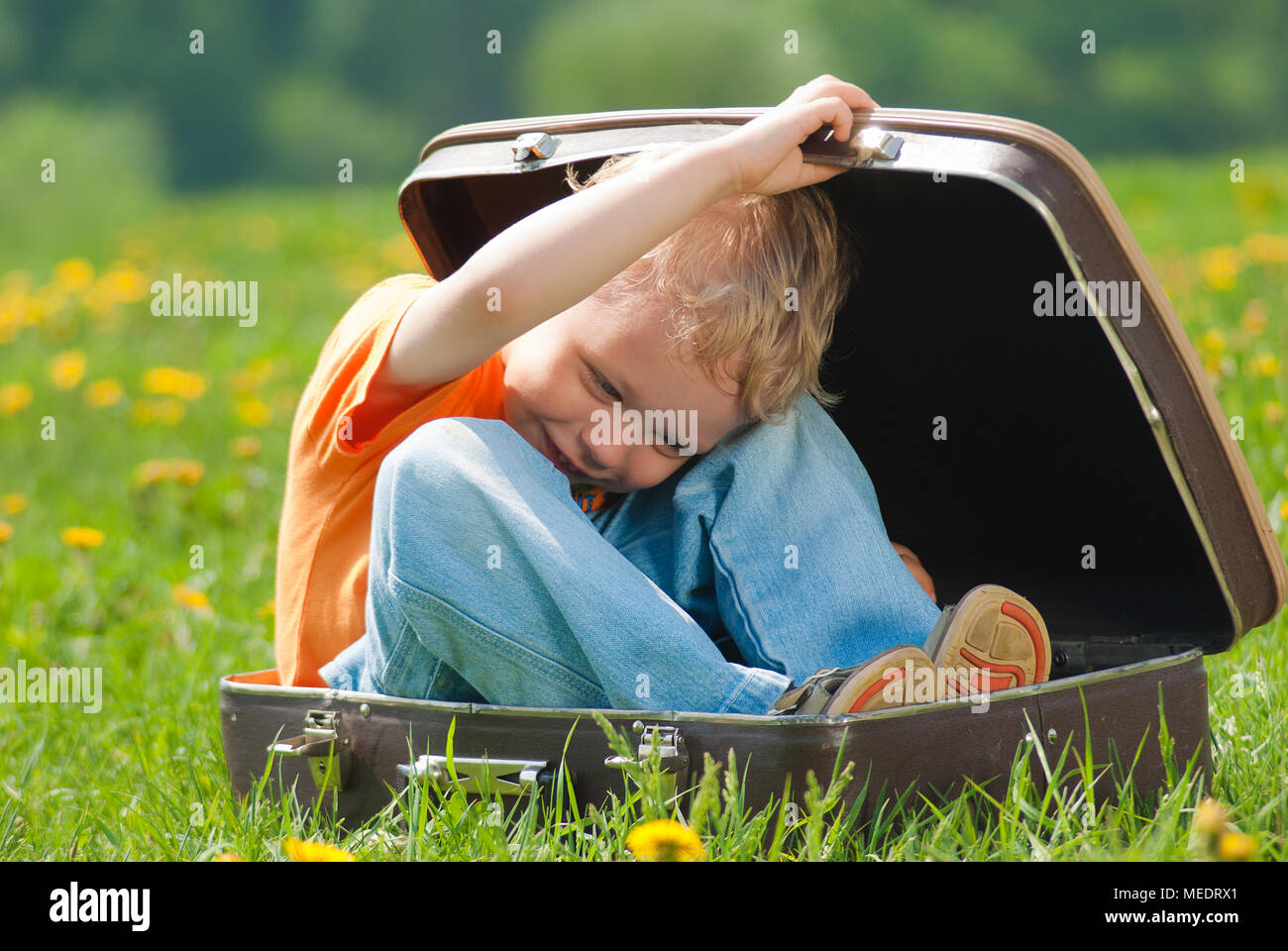 Cute little funny child trying to hide inside of vintage brown suitcase. Boy laughs and smiles happily while playing outdoors on green grass lawn full Stock Photo