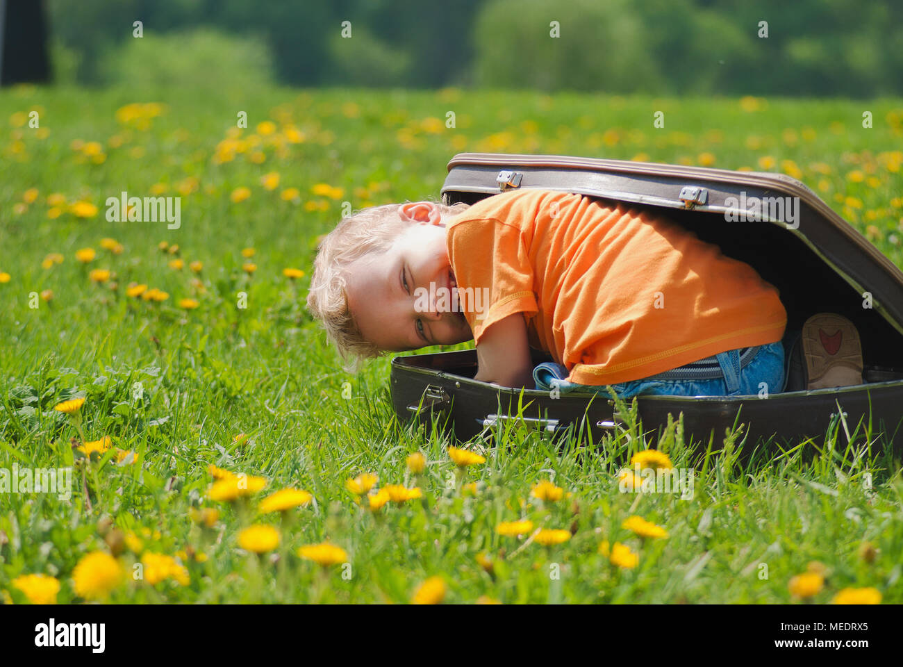 Cute little funny child trying to hide inside of vintage brown suitcase. Boy laughs and smiles happily while playing outdoors on green grass lawn full Stock Photo
