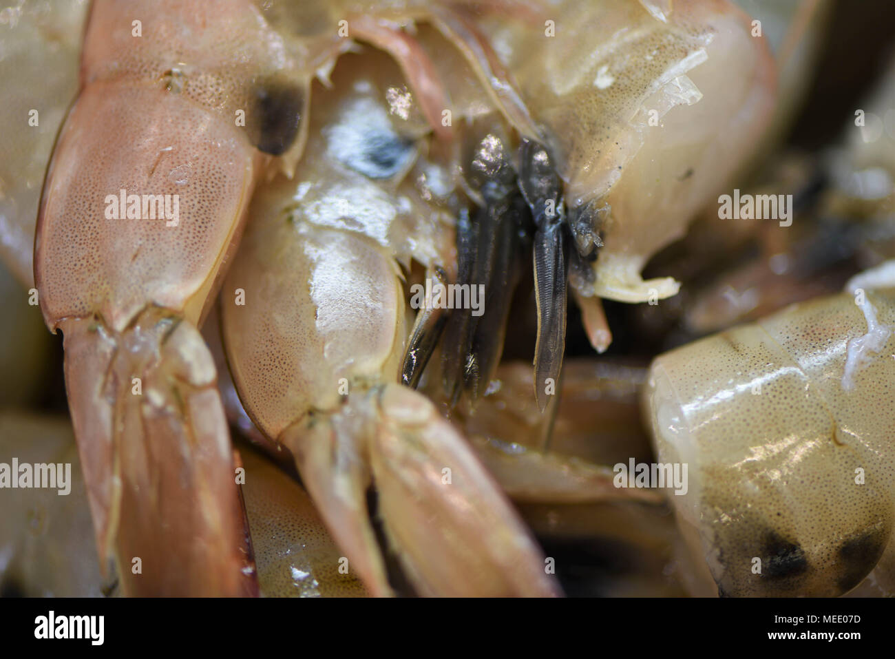 raw fish of prawn tails at a fish mongers Stock Photo