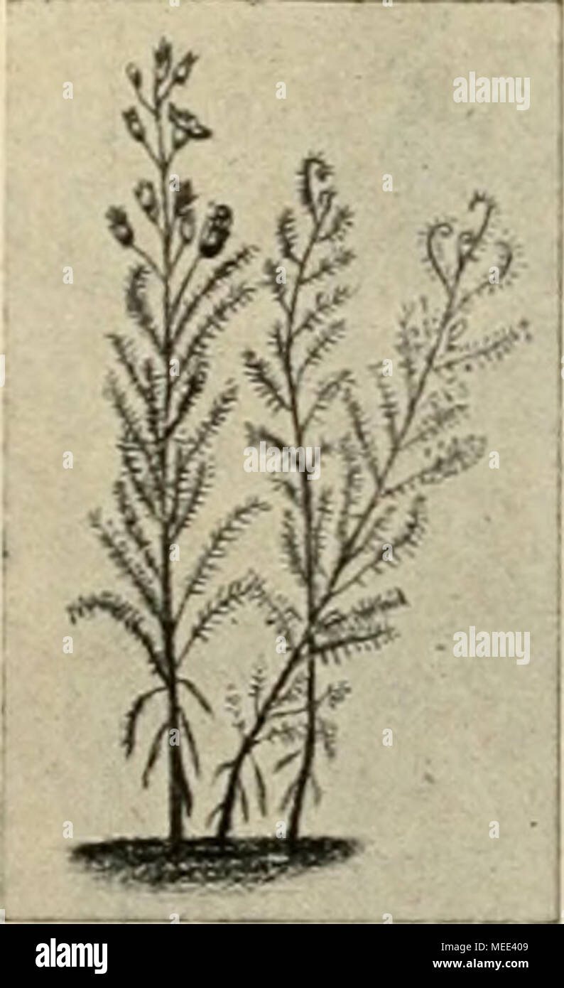 Putzke Stock Photos Putzke Stock Images Alamy