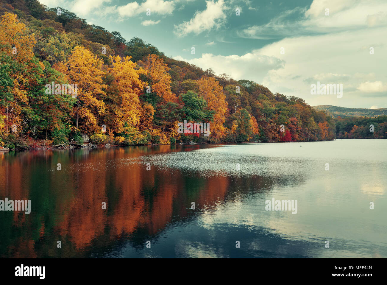 Autumn colorful foliage with lake reflection Stock Photo - Alamy