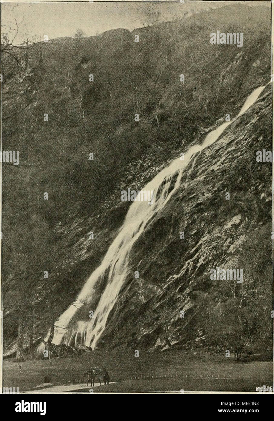 . Die Gartenwelt . Powerscourt -Wasserfall. Nach einer Aufnahme von M. W, Lawrence, Dublin, fiir die „Gartenwelt&quot; gefertigt. Schienenweg nach Rathdrum (37 miles von Dublin). An dieser Strecke liegt auch das schöne Seebad Bray, das „Brighton Irlands&quot;, bekannt durch die hohen malerischen Klippen. Unvergefslich sind die Bilder, die man vom Wagen aus er- blickt; auf der einen Seite die See mit am Horizont ver- schwindenden Dampfern und Segelbooten, auf der anderen Seite üppige saftige Wiesen mit schön geformten Baumgruppen, in der Ferne die hohen Berge. Prächtige, buntscheckige Kühe lage Stock Photo