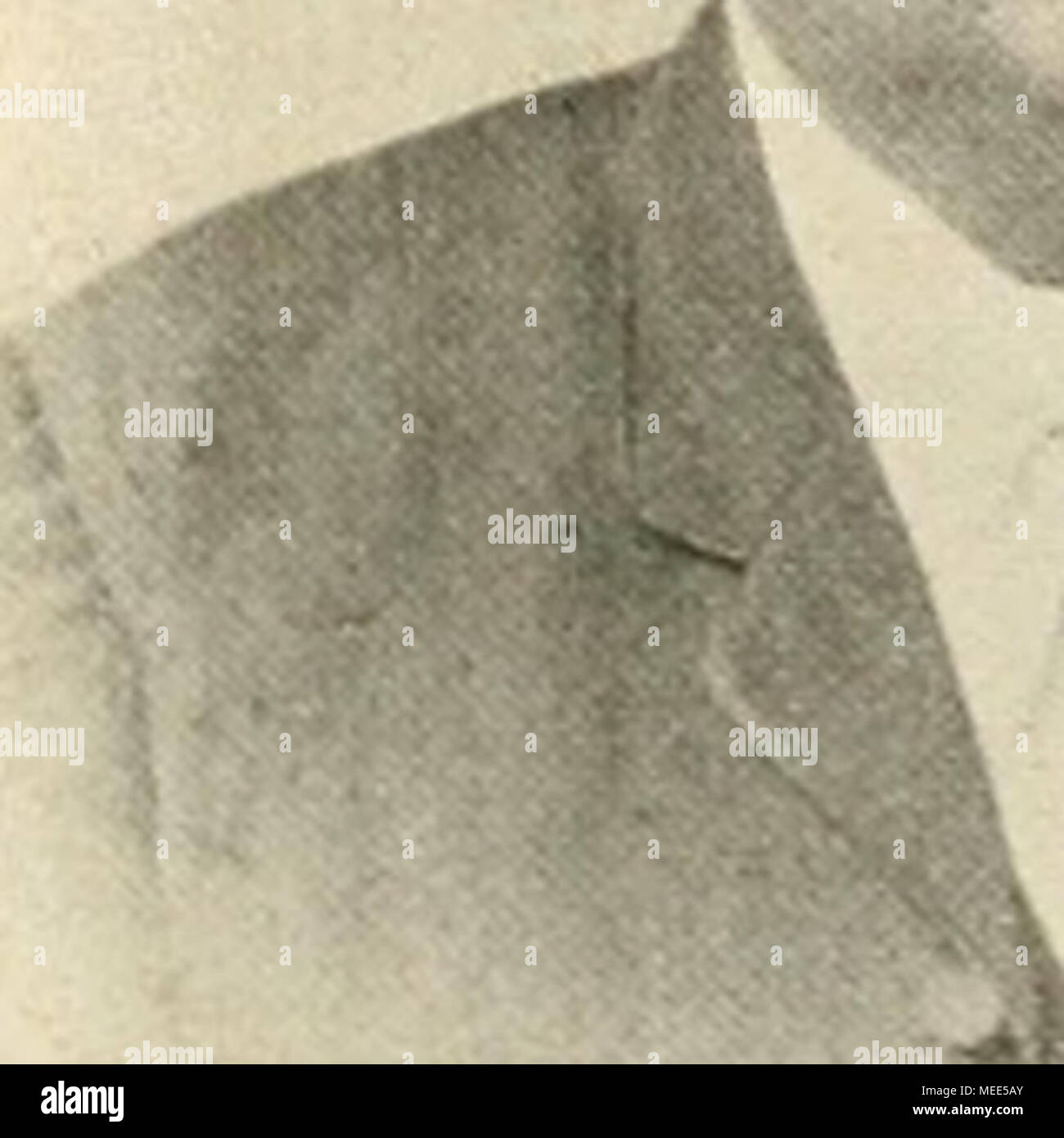 Rote Spinne Stock Photos Rote Spinne Stock Images Alamy