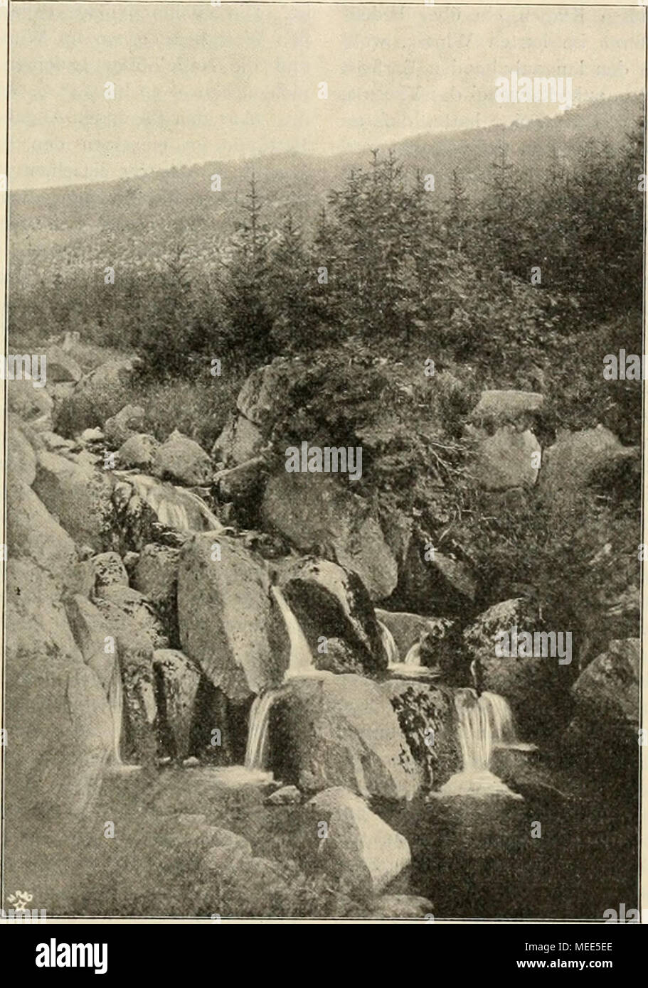 . Die Gartenwelt . Felsenquelle in GranittrUmmern. Vom Verfasser für die „Gartenwelt&quot; photographisch aufgenommen. Sumpfige Quellen haben ihre Berechtigung im Garten, wenn wenig Wasser zur Verfügung steht, um zahlreichen Sumpf- und Uferpflanzen natürlichen Nährboden zu geben. Sie bedürfen keines Abflusses, wenn nicht mehr Wasser zu- geführt wird, als durch die Pflanzen verdunstet; einen wasser- dichten, unsichtbaren Abschlufs gegen die Umgebung mufs auch die Sumpfquelle erhalten, um sich nicht lästig auszubreiten. Auch kräftige Ausflüsse jäh durchschnittener Wasseradern stehen nicht unter  Stock Photo