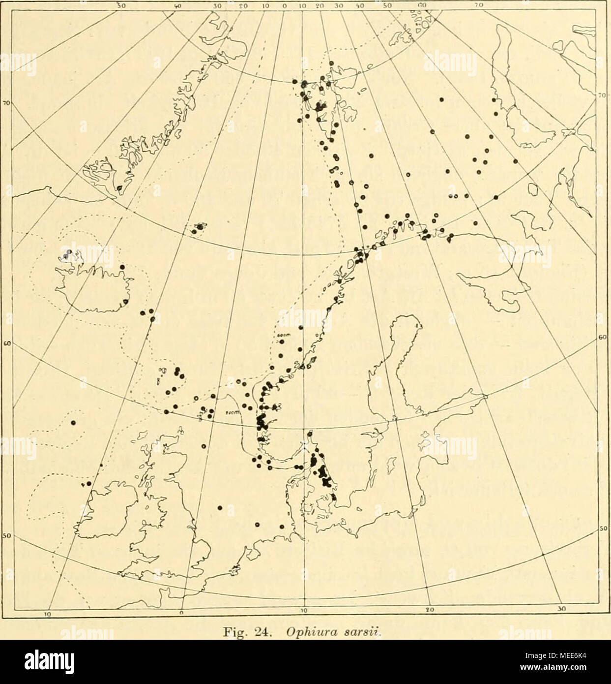 . Die Echinodermen des Eisfjords . Ophiura sarsii. Grieg 1904); Kristianiafjord, 36—90 m (M. Sars 1861, Hjort &amp;Dahl 1900); schwedische Skagerakküste: Gullmar- fjord, Väderöarna (Ljüngm.n 1865. Theel 1907 [»in den tieferen Teilen des Fjords»]). Kattegatt, 25, in der Regel 54—90 m (Petersen 1889, 1893, 1894, 1913, Petersen &amp; Levinsen 1900). Öresund, 20, 30 bis 33 m (LÖNNBERG 1898). Nordsee: nordöstlicher Teil (s. oben); südlicher Teil: Helgoländer Tiefe, W. davon und Doggerbank, 3.5, 43, 22 m (Meissner &amp; Collin 1874, Möbius &amp; Bütschli 1874); 0. von Schottland (Möbiüs &amp; Bütsc Stock Photo
