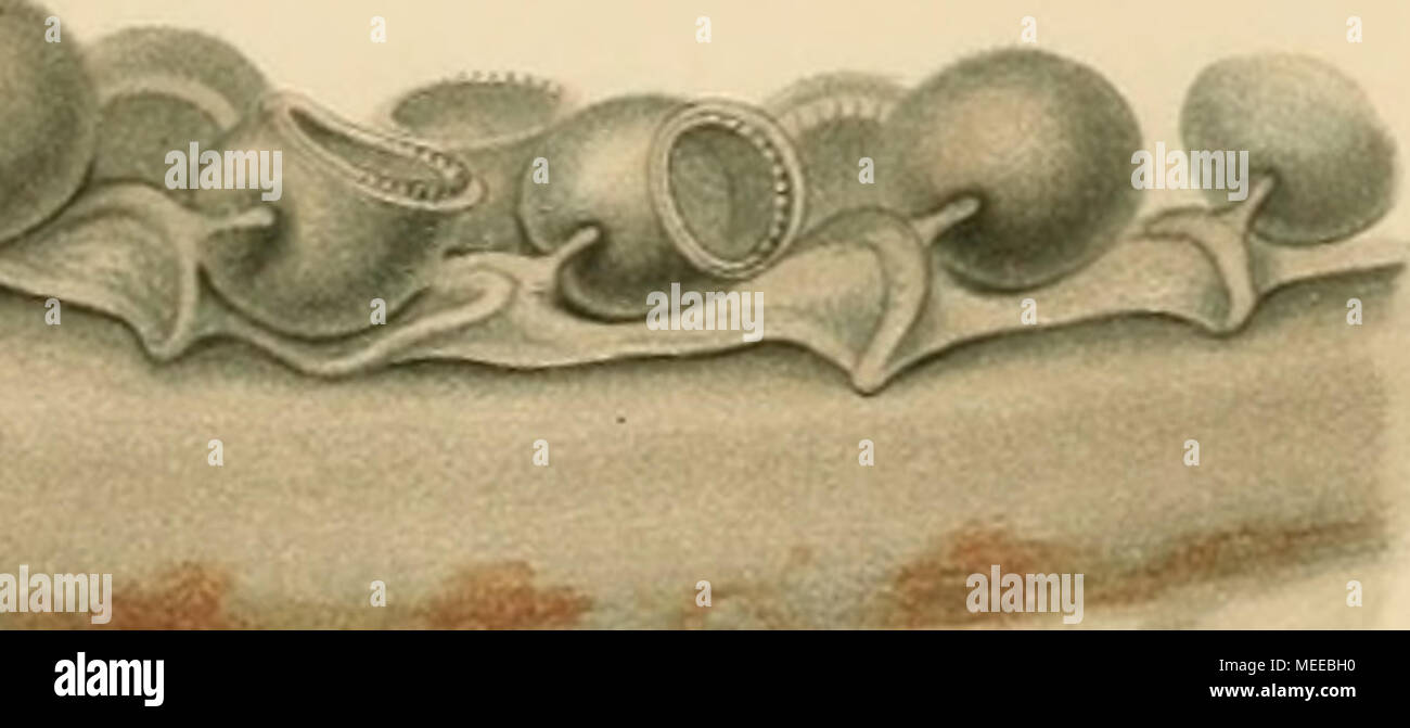 Page 3 G V M High Resolution Stock Photography And Images Alamy