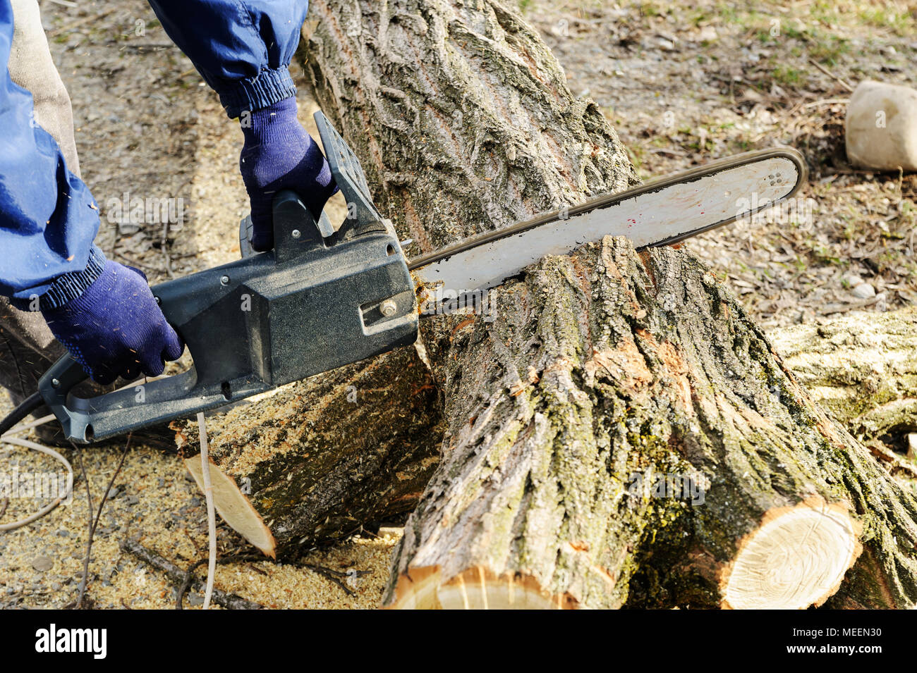 The electric chain saw in a man's hands cutting a log of wood Stock