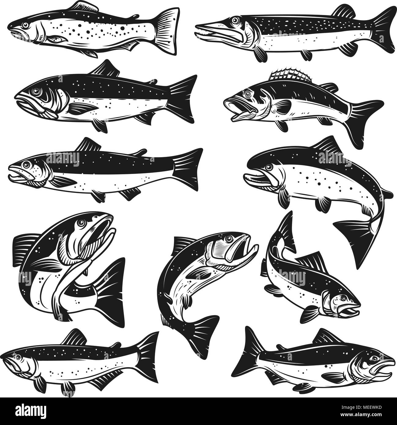 Big set of fish illustrations. Pike, salmon, trout, perch. Design elements for fishing logo, label, emblem, sign. Vector illustration Stock Vector